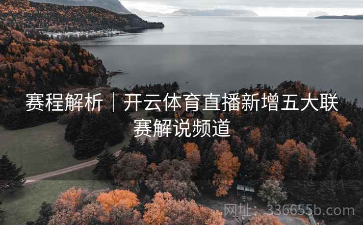 赛程解析｜开云体育直播新增五大联赛解说频道