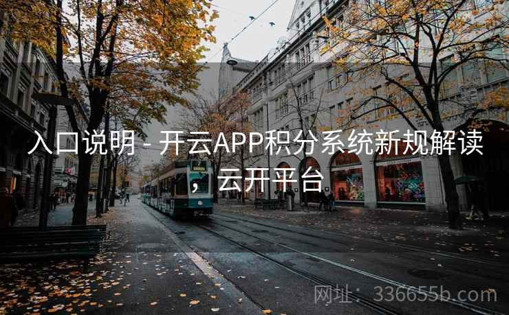 入口说明 - 开云APP积分系统新规解读，云开平台
