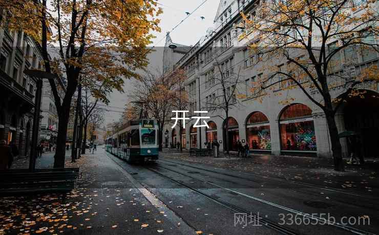 开云 第2张