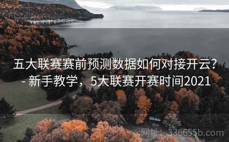 五大联赛赛前预测数据如何对接开云？ - 新手教学，5大联赛开赛时间2021  第2张