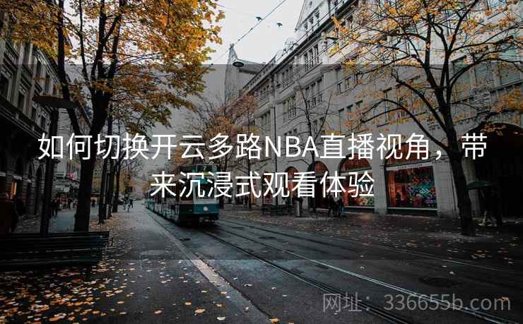 如何切换开云多路NBA直播视角，带来沉浸式观看体验  第1张