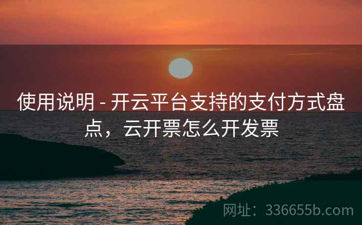 使用说明 - 开云平台支持的支付方式盘点，云开票怎么开发票