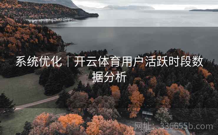 系统优化｜开云体育用户活跃时段数据分析  第2张